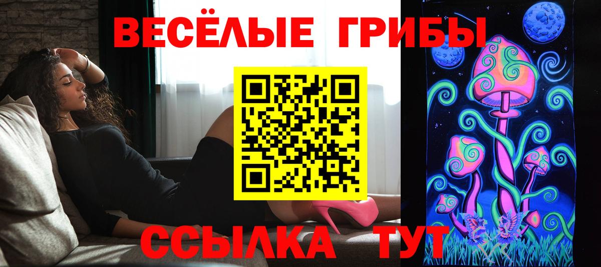 Ульяновск  Псилоцибиновые грибы MAGIC MUSHROOMS  Вход с VPN 