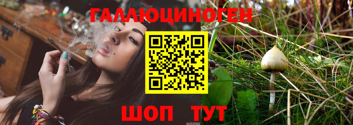 Галлюциногенные грибы мицелий Ульяновск